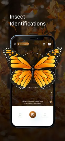 Game screenshot Insect ID - Bug Identifier mod apk