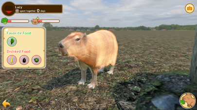 Capybara Spa Screenshot