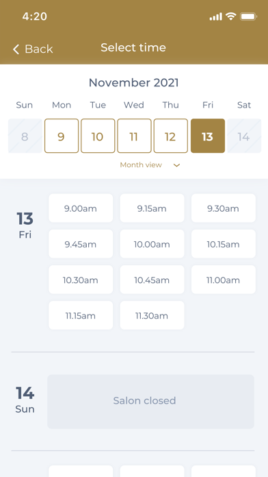 Silk & Stone Holistic Day Spa Screenshot