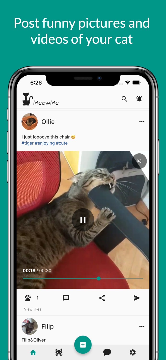 MeowMe - Cat Social Network