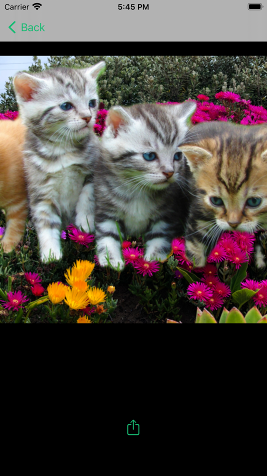 #2. Quick Edit - Background Remove (iOS) Podle: Willington Joseph LNU