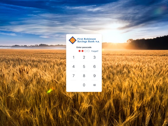FRSB iPad screenshot 2 - Finance app