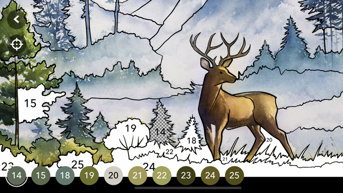 Home Design Challenge