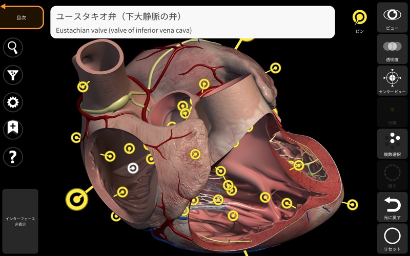 解剖学 - 3Dアトラス screenshot1