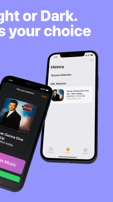SongLinkr Screenshot