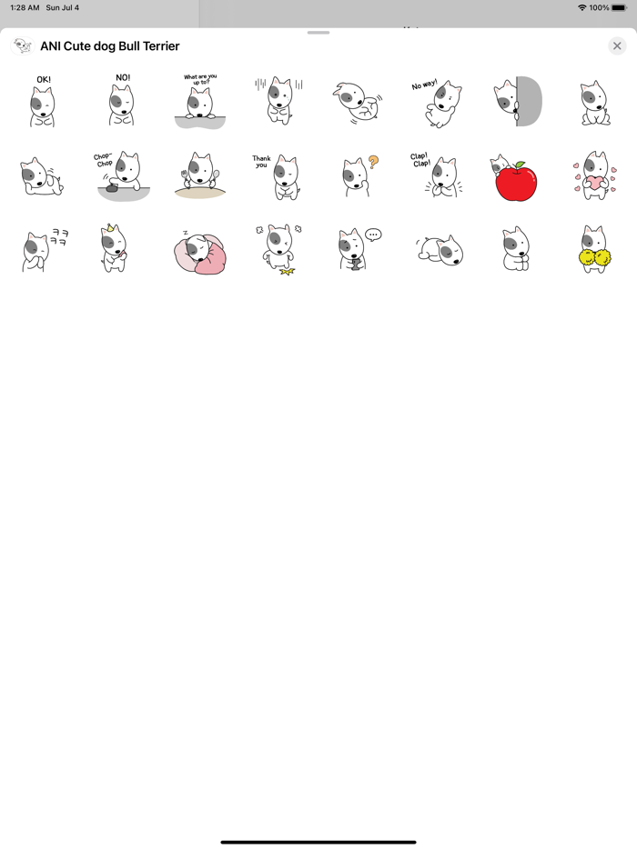 ANI Cute dog Bull Terrier