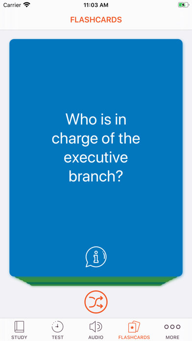 USA Citizen Test Screenshot