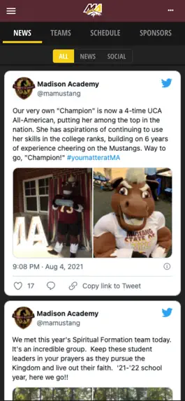 Game screenshot Madison Academy Mustangs hack