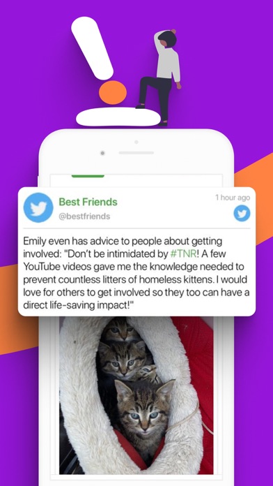 Wowso: Entertainment News Feed Screenshot