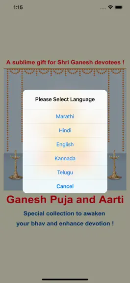 Game screenshot Ganesh Puja and Aarti mod apk