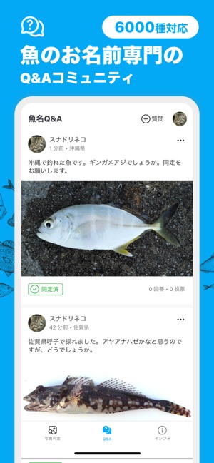 魚みっけ をapp Storeで 魚みっけ をapp Storeで