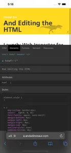 Web Inspector screenshot #4 for iPhone