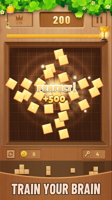 Block puzzle Casual game woody Screenshot