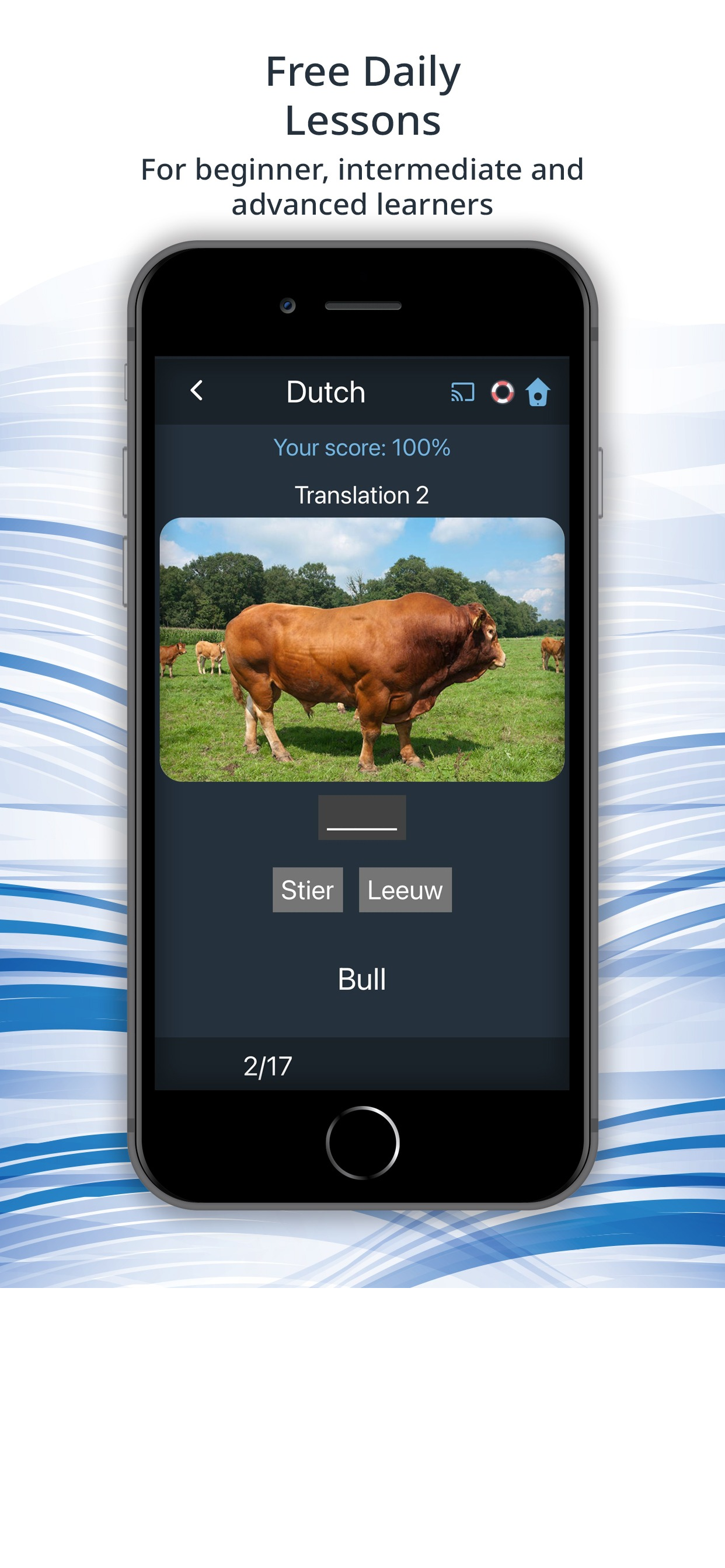 Bluebird: Learn Dutch