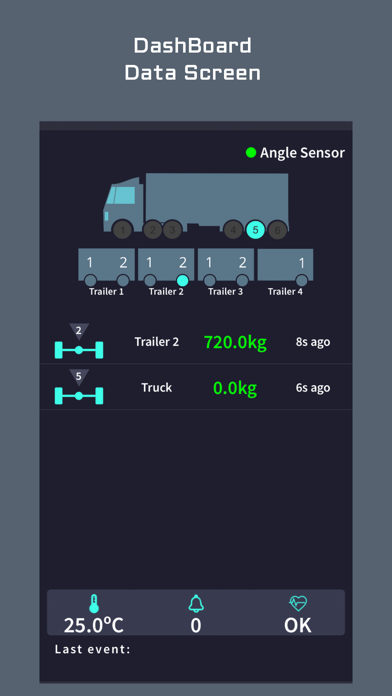 Axle load monitor Screenshot