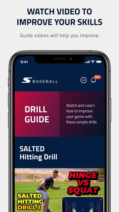 SALTED Baseball Screenshot
