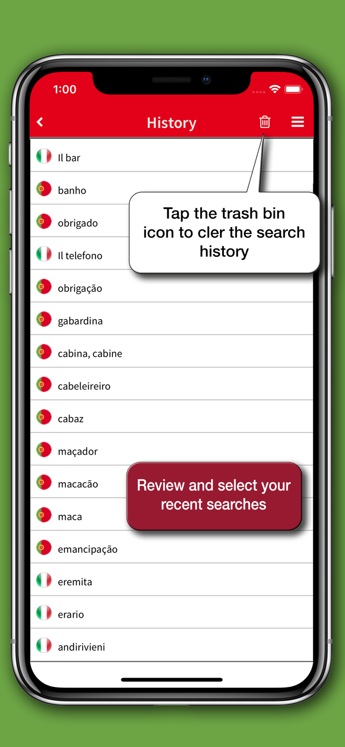 Dizionario Portoghese Hoepli