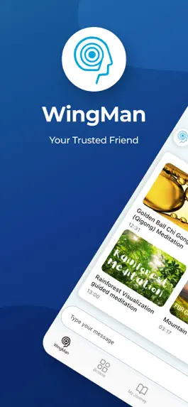 Game screenshot WingMan For Addiction mod apk