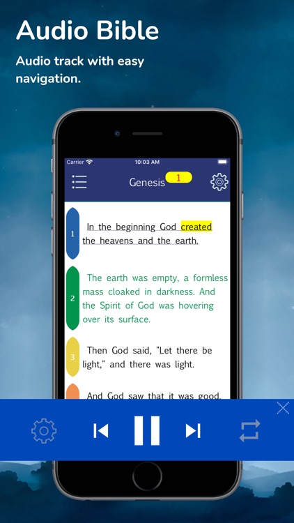 Holy Bible Message Bible (MSG)