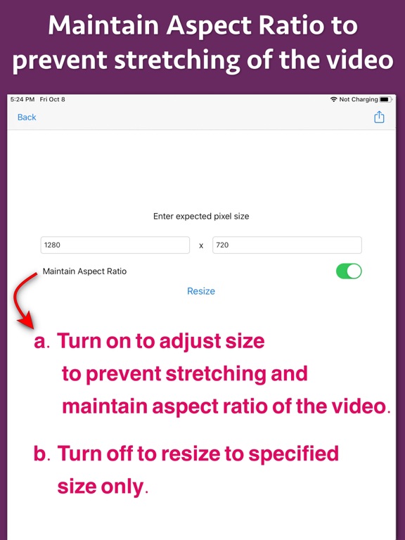Screenshot #4 for Video Pixel Resizer