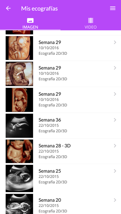 Centro Gutenberg Screenshot