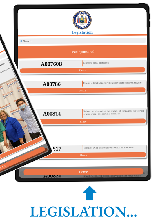 Rebecca Seawright 76 District iPad screenshot 4 - News app