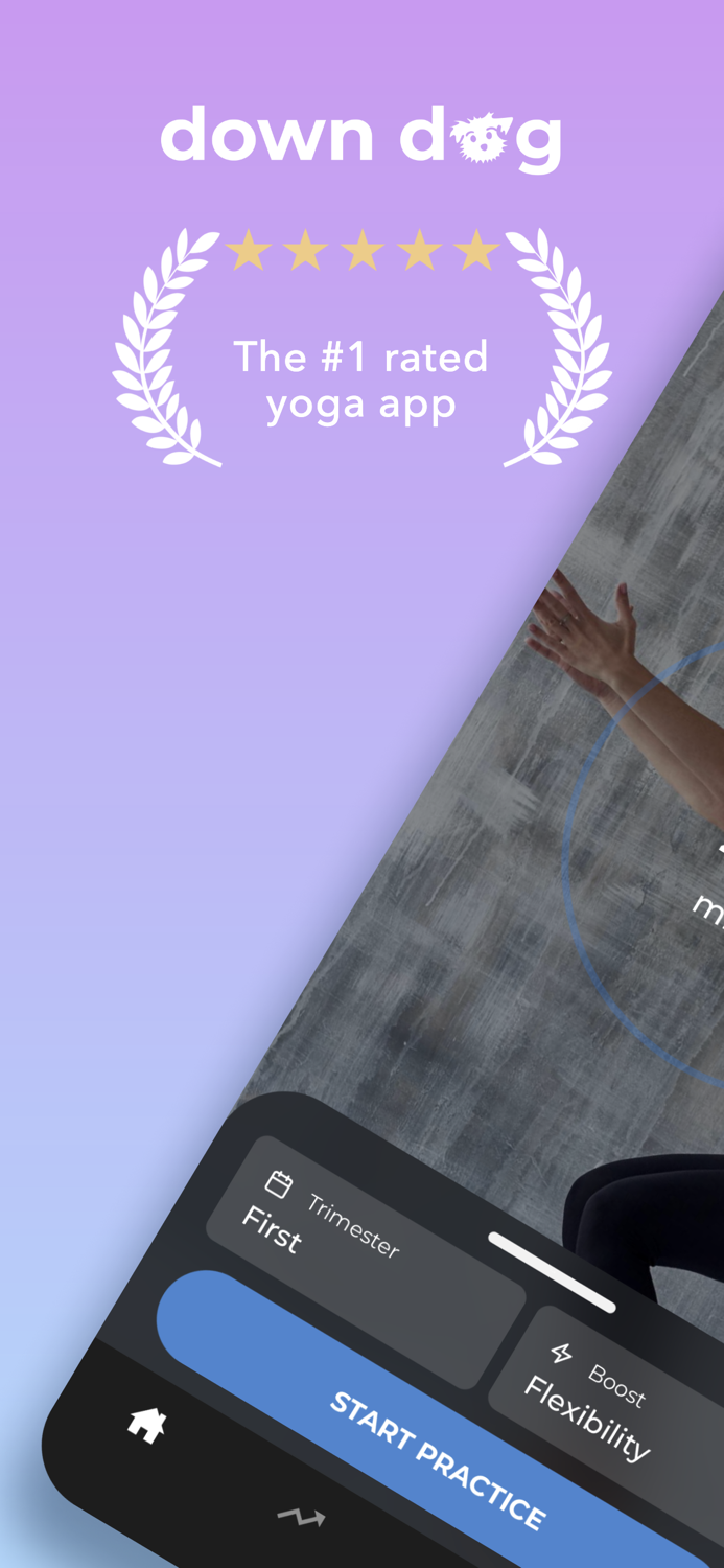 Prenatal Yoga  Down Dog