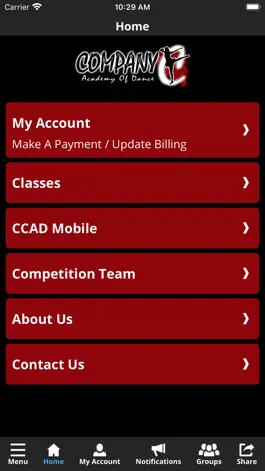 Game screenshot Company C Academy of Dance apk
