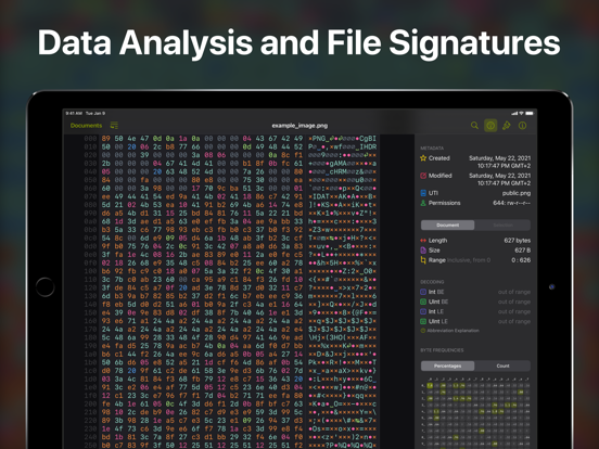 Hexer — Hex File Viewer iPad app afbeelding 5