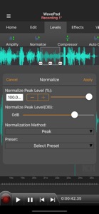 WavePad Master's Edition screenshot #2 for iPhone