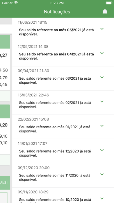 Fundação Itaúsa Screenshot