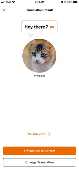 Game screenshot MeowTalk Cat Translator mod apk