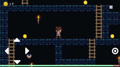 Ninja Runner - Platformer Game Screenshot