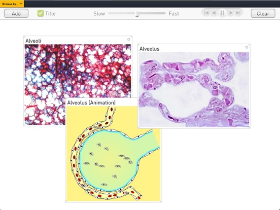 Screenshot #5 pour Science SuperLab - Biology