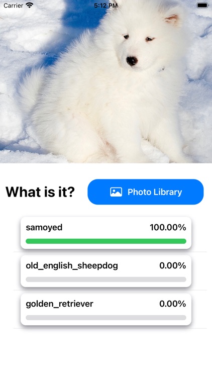Name That Dog screenshot-3