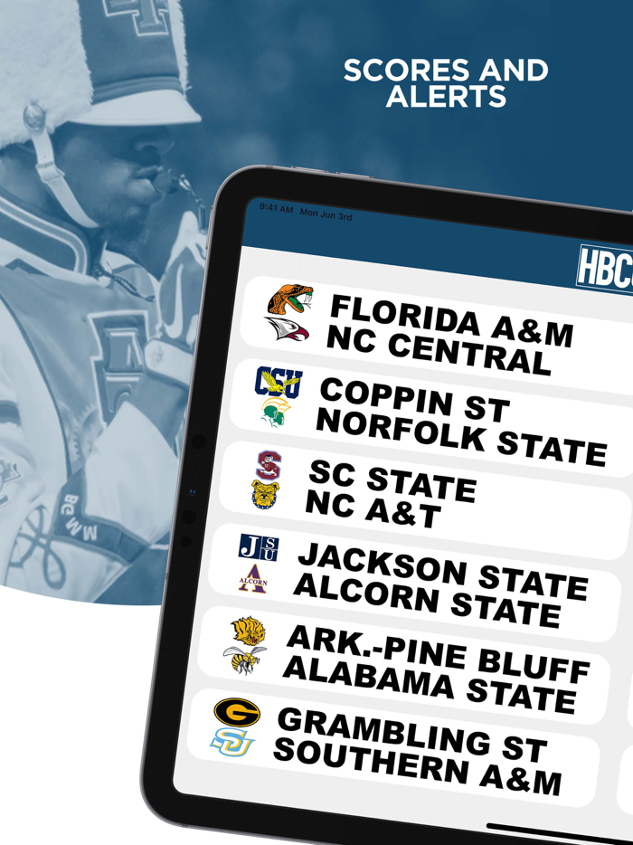 HBCU DIGITAL NETWORK LLC