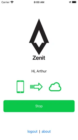 Game screenshot Zenit hack