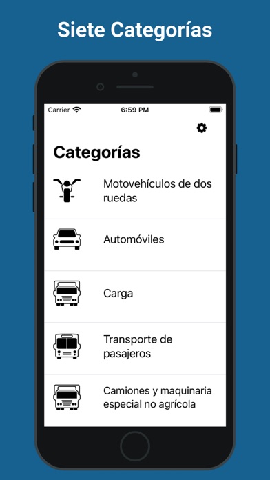 Examen de conducir Argentina Screenshot