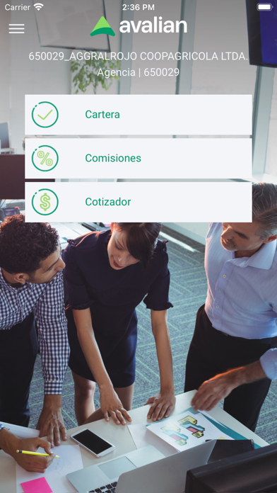 Avalian Agencias Screenshot