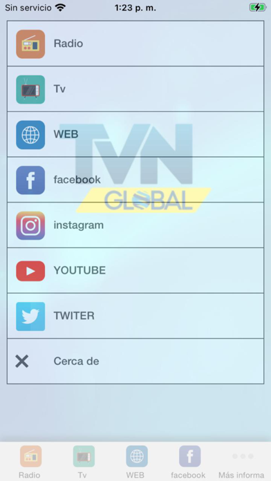Tvn Global Screenshot