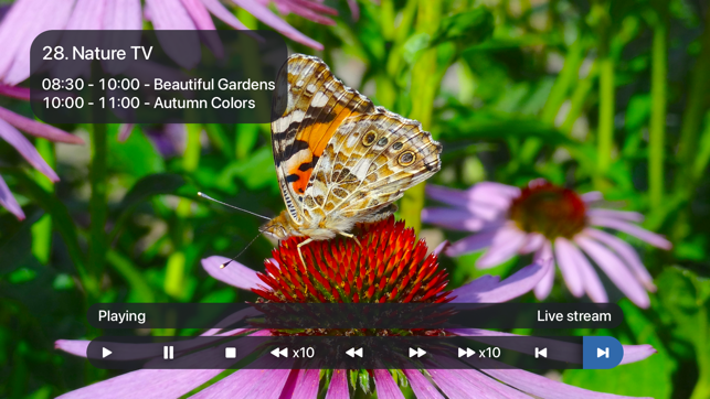 ‎simpleVID IPTV PLAYER Screenshot