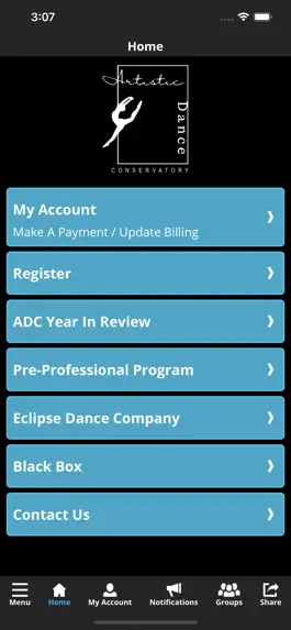 Game screenshot Artistic Dance Conservatory apk