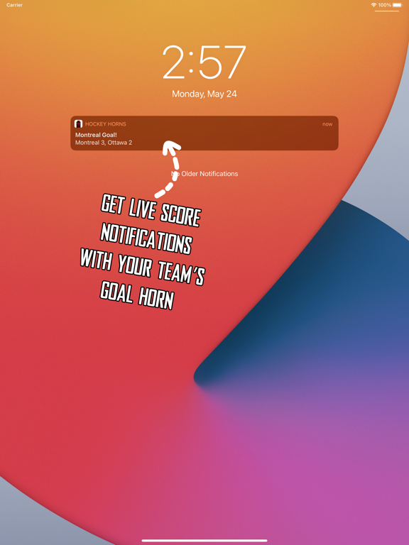 Hockey Horns Live iPad screenshot 4 - Sports app
