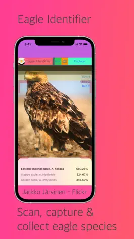 Game screenshot Eagle Identifier mod apk