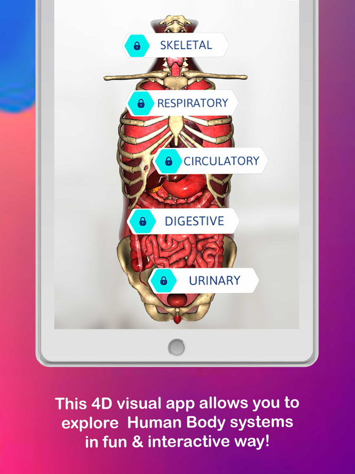 Anatomy AR 4D -Virtual T-Shirt