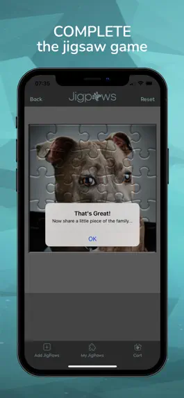 Game screenshot Jigpaws hack