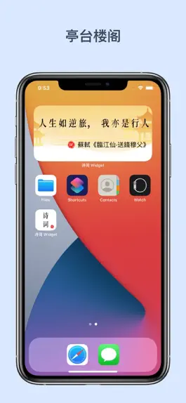 Game screenshot 诗词 Widget apk