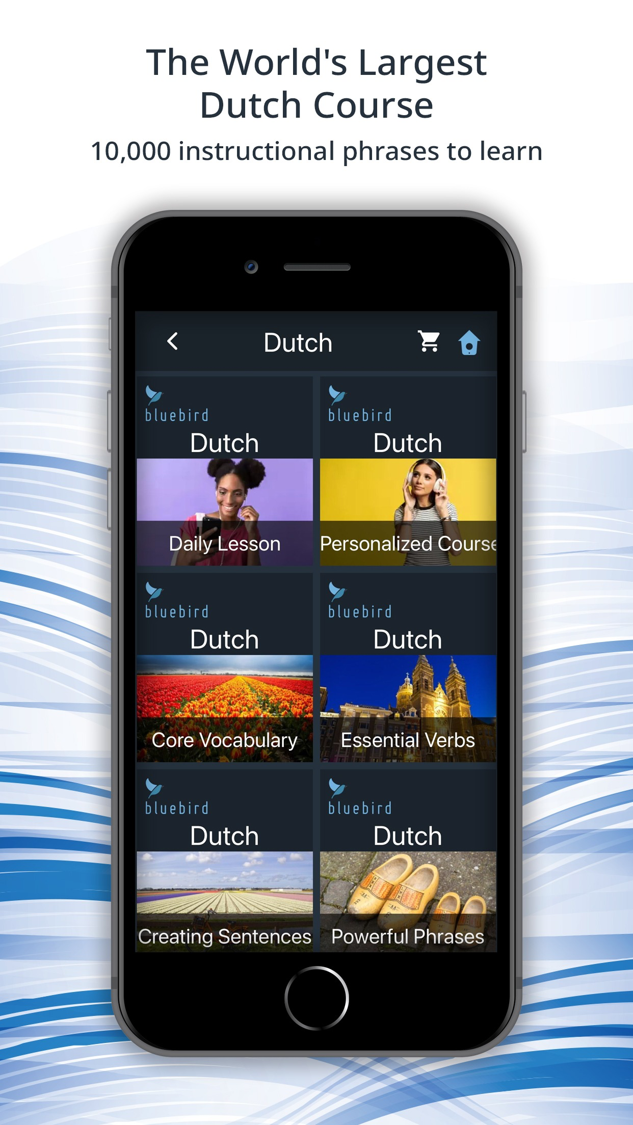 Bluebird: Learn Dutch