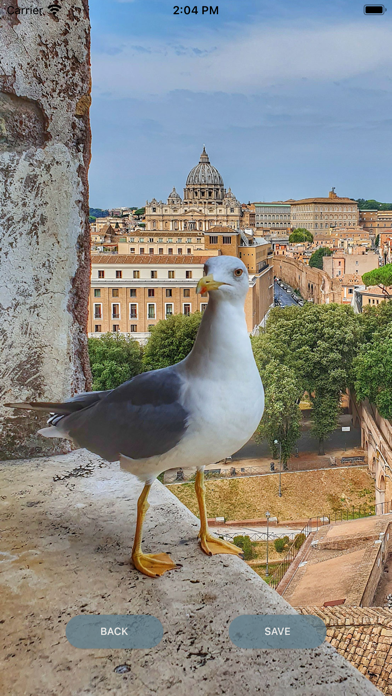 Italy Wallpapers Screenshot