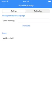irish dictionary pro iphone screenshot 3